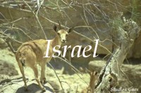 Isral / Israel (13419 octets)